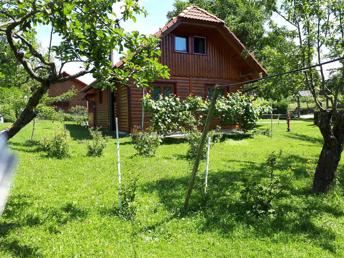 Villa Tourist Farm Znidarjevi Kozljek Exterior foto