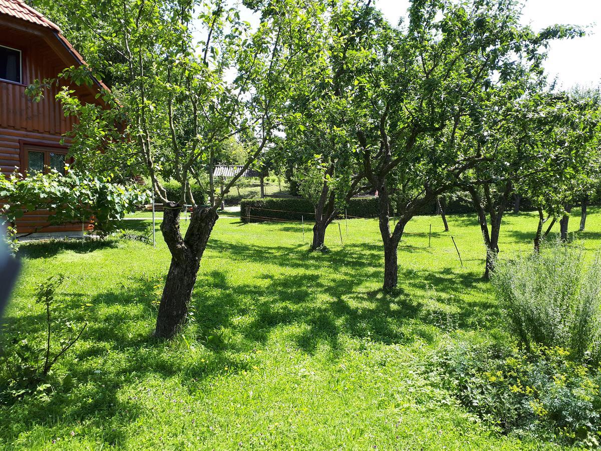 Villa Tourist Farm Znidarjevi Kozljek Exterior foto