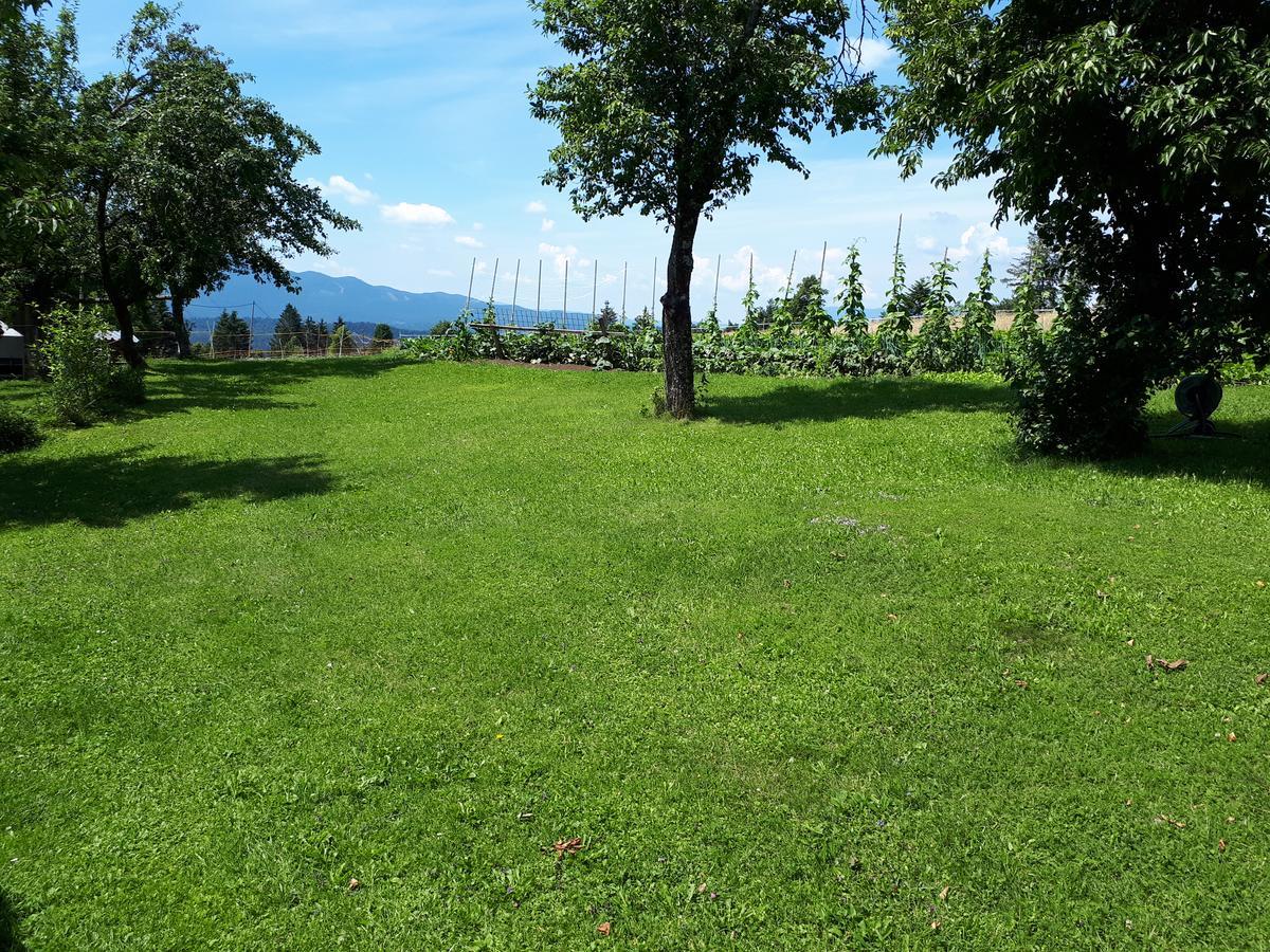 Villa Tourist Farm Znidarjevi Kozljek Exterior foto